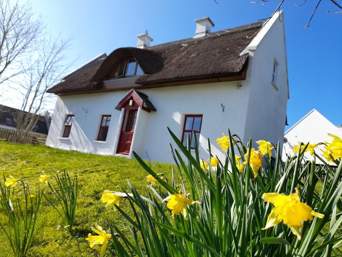 Donegal Thatched Cottage *